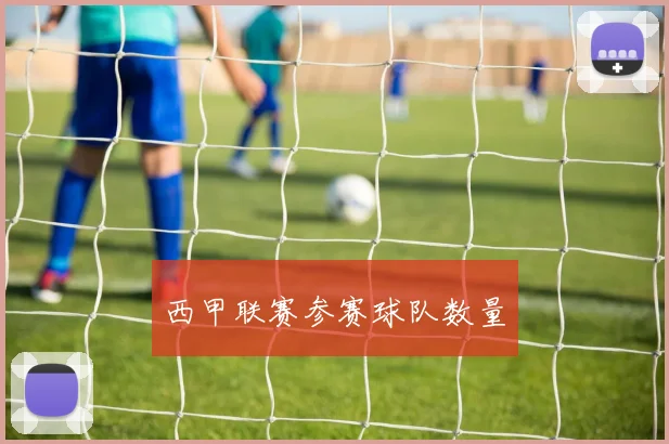 西甲联赛参赛球队数量