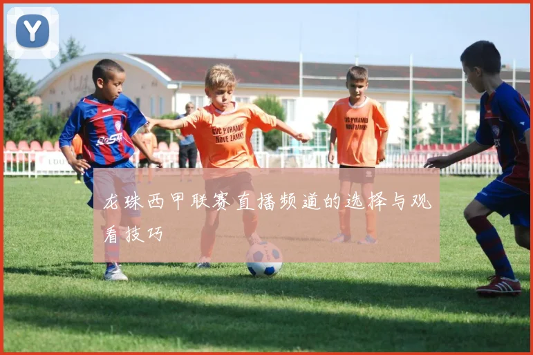 龙珠西甲联赛直播频道的选择与观看技巧