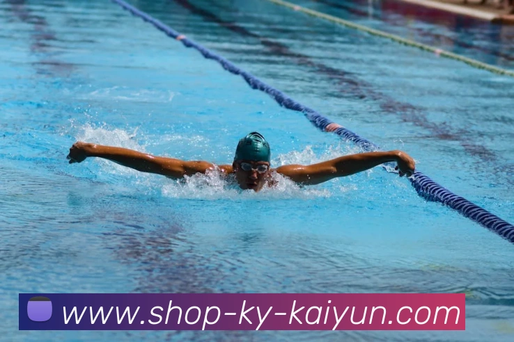 开云app服务体系